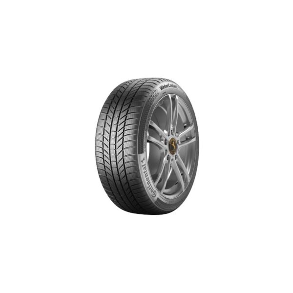 Buy 225/55R18 Conti WinterContact TS870P 102V XL FR Continental