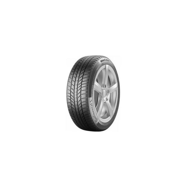 Buy 225/60R17 WinterContact TS870P 99H FR Continental